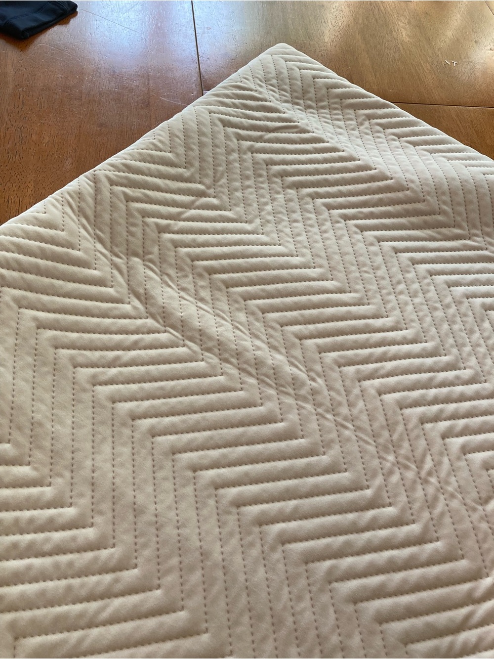 Pottery Barn Teen Dorm Luxe Velvet Throw - Light Pink - 50" x 60" - Super Soft!